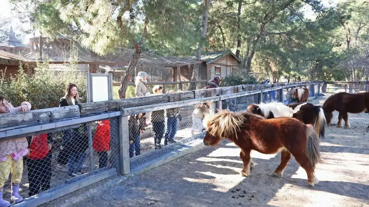 Antalya Doğal Yaşam Parkı’nda 5 Bini Aşkın Öğrenciye 109 Eğitim! 7